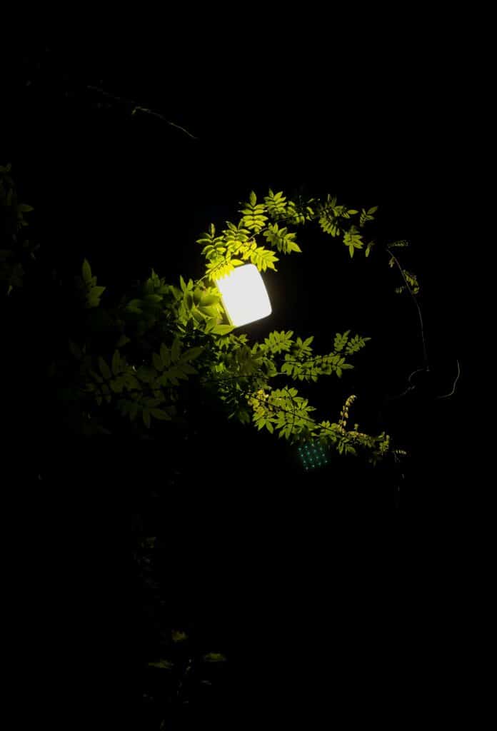 The current image has no alternative text. The file name is: bernd-dittrich-idvYGmNq0U-unsplash-scaled.jpg