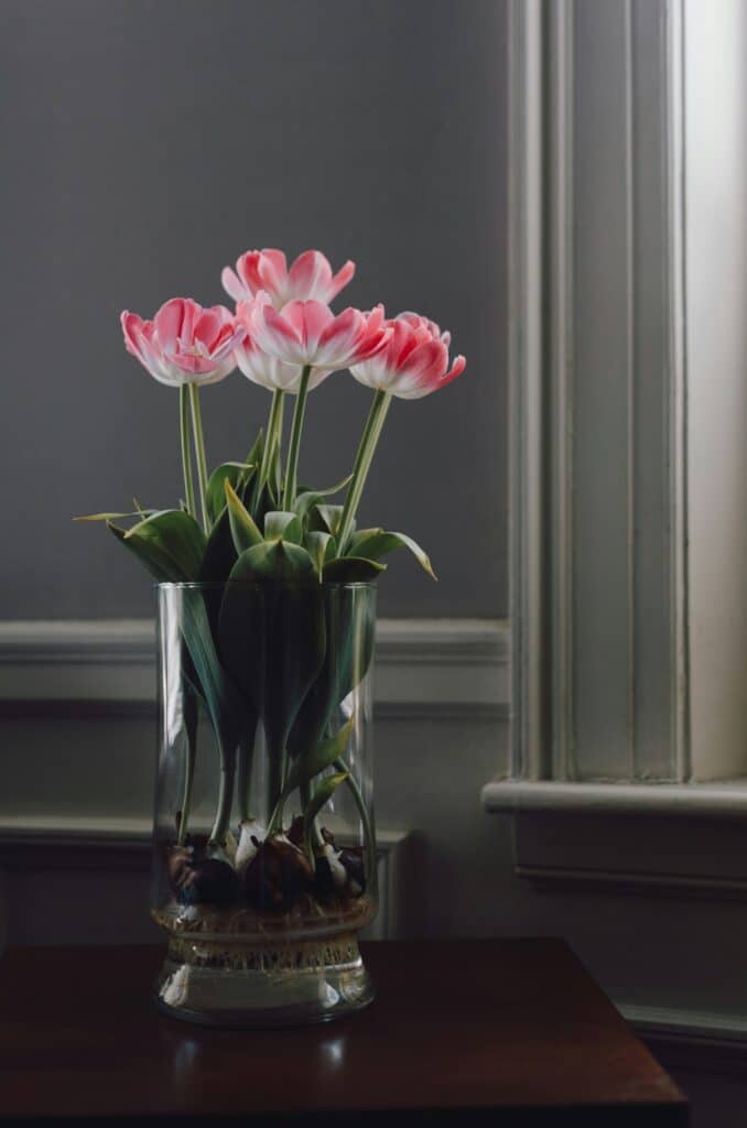 The current image has no alternative text. The file name is: kelly-sikkema-LG9sSkKM27Y-unsplash-scaled.jpg