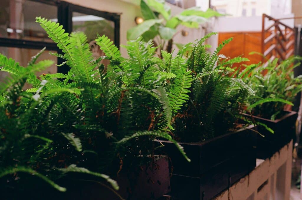 The current image has no alternative text. The file name is: khanh-do-ILa0TqWFz3g-unsplash-scaled.jpg