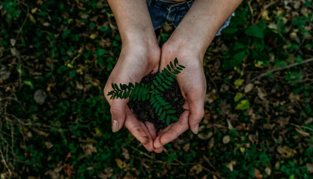 The current image has no alternative text. The file name is: noah-buscher-x8ZStukS2PM-unsplash-scaled.jpg
