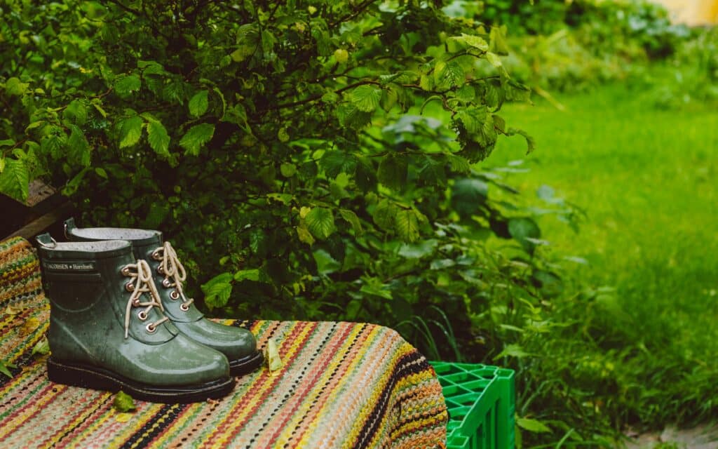 The current image has no alternative text. The file name is: shane-rounce-Zj7SmsYw2u4-unsplash-scaled.jpg