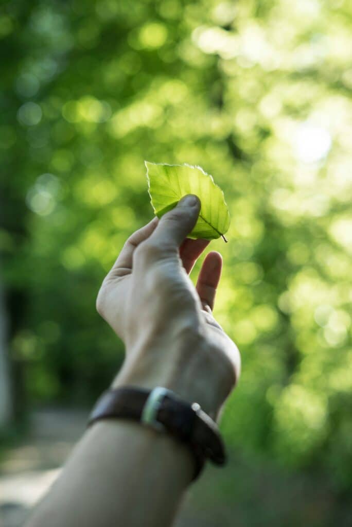 The current image has no alternative text. The file name is: tobias-weinhold-hXPomXrpUP0-unsplash-scaled.jpg